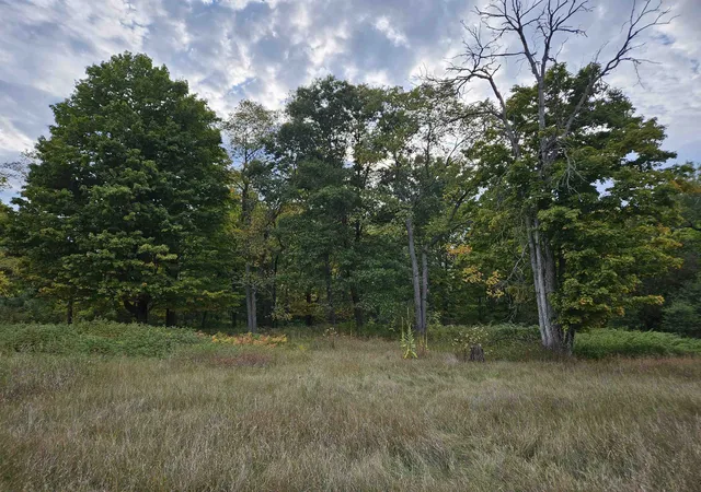 Photo 3 of Land for sale at 0 Twin Lake Rd, Marion, MI 49665 | MLS# 78080062932 | Listing updated on 2026-06-22