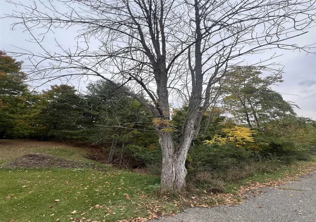 4th image of Lot 170 Jonathon Dr, Rapid City, MI 49676 | MLS# 78080062934