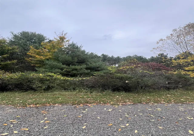 5th image of Lot 170 Jonathon Dr, Rapid City, MI 49676 | MLS# 78080062934