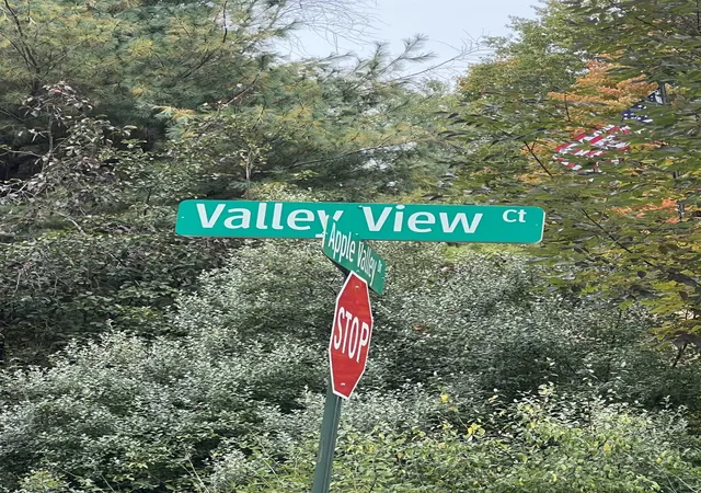 2nd image of Lot 77 Valley View Ct, Rapid City, MI 49676 | MLS# 78080062937