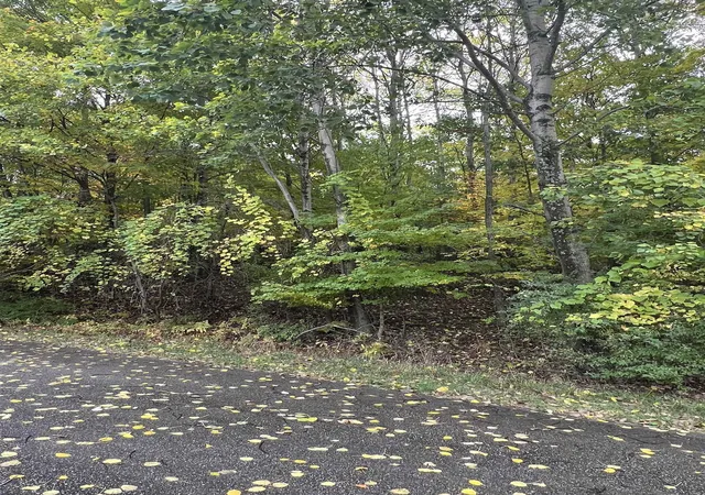 5th image of Lot 77 Valley View Ct, Rapid City, MI 49676 | MLS# 78080062937