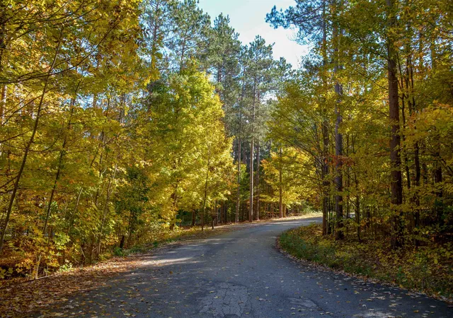 3rd image of W Timber Ln, Beulah, MI 49617 | MLS# 78080063127