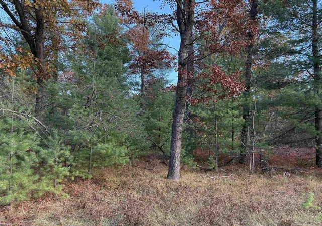 Photo 1 of Land for sale at Lot 99 Wilderness Dr, Alger, MI 48610 | MLS# 58050192556 | Listing updated on 2026-07-19