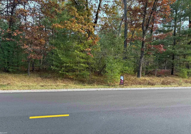 Photo 2 of Land for sale at Lot 99 Wilderness Dr, Alger, MI 48610 | MLS# 58050192556 | Listing updated on 2026-07-19