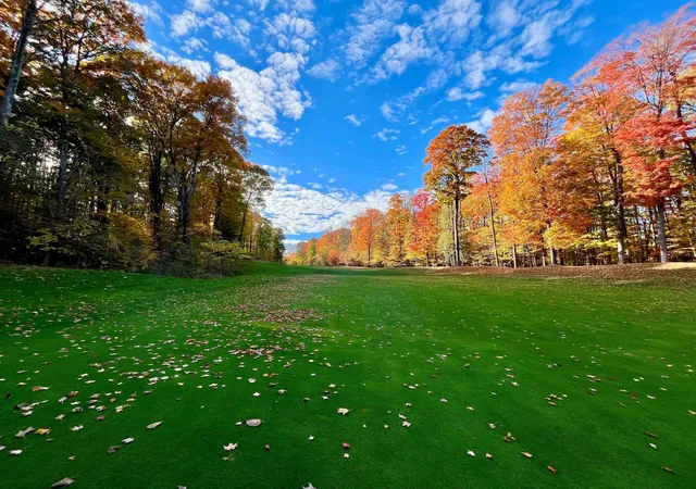 2nd image of V/l 51 Troon South, Bellaire, MI 49615 | MLS# 78080063148
