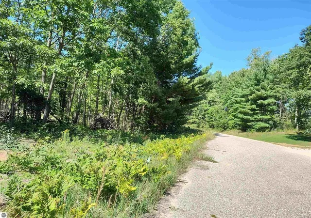 1st image of N Circle E, Surrey Township Clare, MI 48622 | MLS# 79080063169