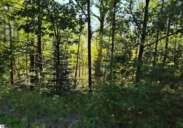 3rd image of N Circle E, Surrey Township Clare, MI 48622 | MLS# 79080063169