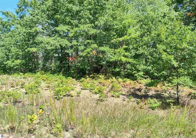 5th image of N Circle E, Surrey Township Clare, MI 48622 | MLS# 79080063169