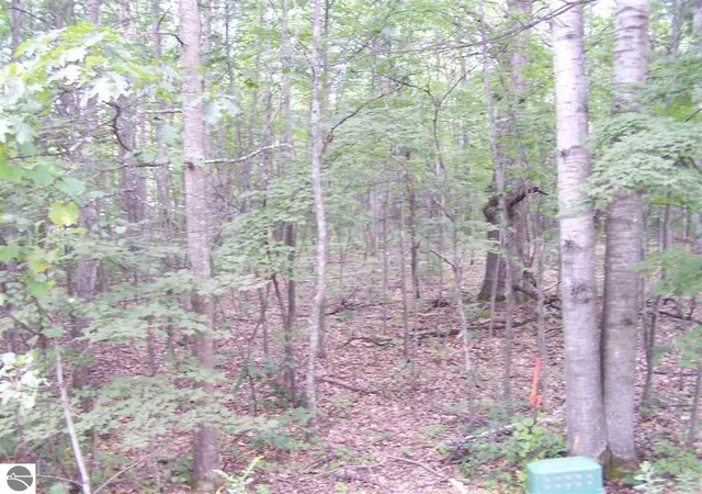 9th image of N Circle E, Surrey Township Clare, MI 48622 | MLS# 79080063169