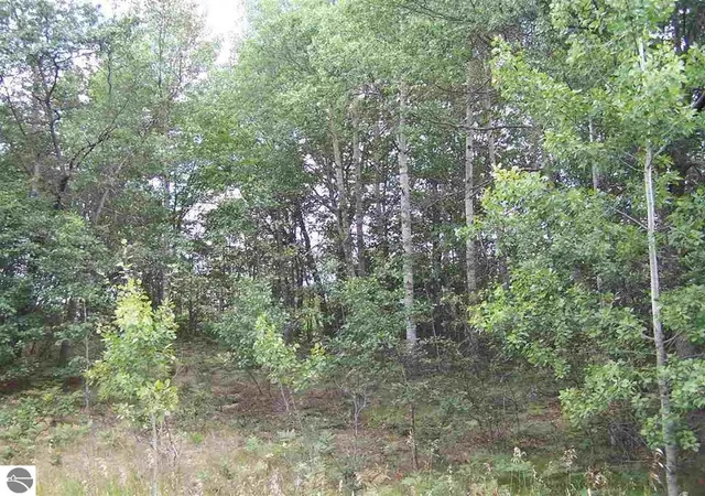 Photo 3 of Land for sale at Tbd N Circle E, Surrey Township Clare, MI 48622 | MLS# 79080063171 | Listing updated on 2026-05-16