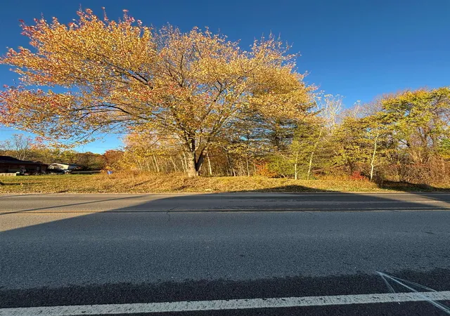 Photo 3 of Land for sale at 8698 Old State Ave, Farwell, MI 48622 | MLS# 79080063418 | Listing updated on 2026-07-13