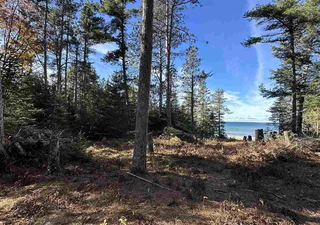 5th image of 32010 Mrs Reddings Trl, Beaver Island, MI 49782 | MLS# 78080063460