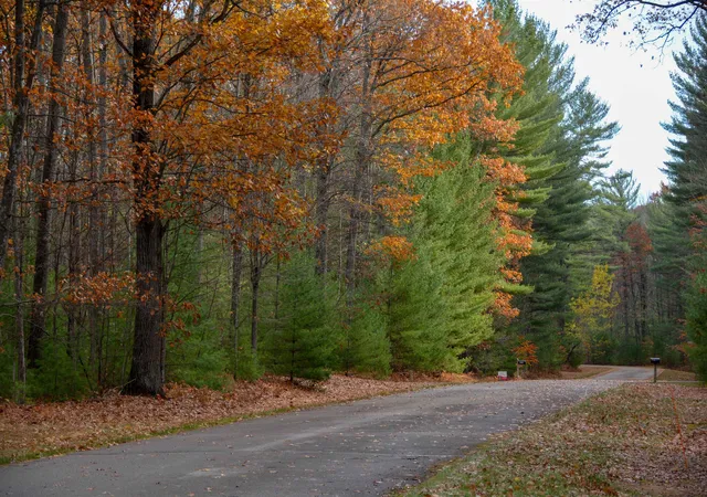 Photo 3 of Land for sale at 864 Se Blue Heron Dr, Kalkaska, MI 49646 | MLS# 78080063464 | Listing updated on 2026-02-23