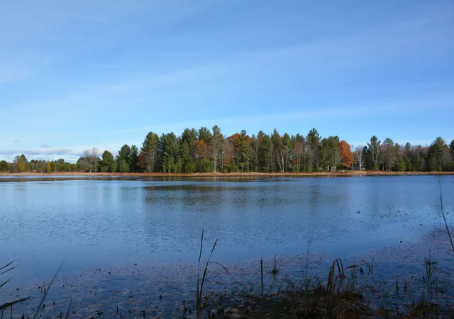 Photo 4 of Land for sale at 864 Se Blue Heron Dr, Kalkaska, MI 49646 | MLS# 78080063464 | Listing updated on 2026-02-23