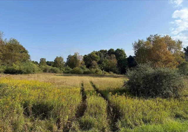 2nd image of S Maple City Rd, Kasson Township Leelanau, MI 49664 | MLS# 78080063475