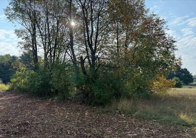 4th image of S Maple City Rd, Kasson Township Leelanau, MI 49664 | MLS# 78080063475