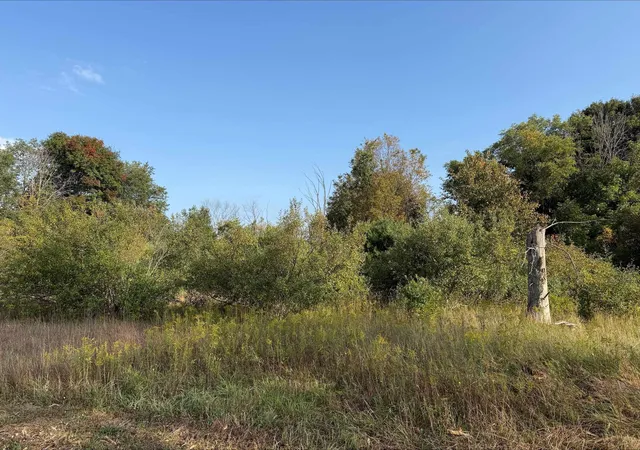 5th image of S Maple City Rd, Kasson Township Leelanau, MI 49664 | MLS# 78080063475