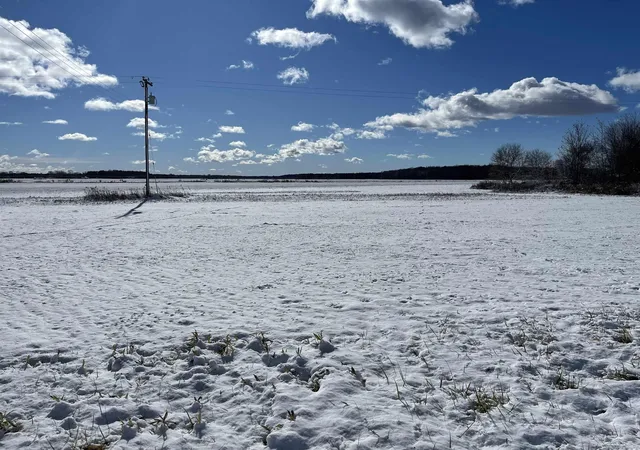 image of 0 Swan Creek Rd, Hemlock, MI 48626 | MLS# 61050193932