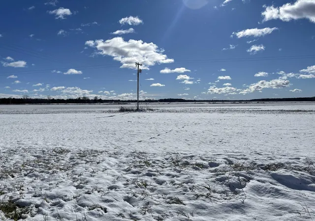 6th image of 0 Swan Creek Rd, Hemlock, MI 48626 | MLS# 61050193932