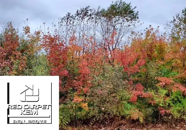 Land for sale at Irish Rd, Millington, MI 48746 | MLS# 5050194364