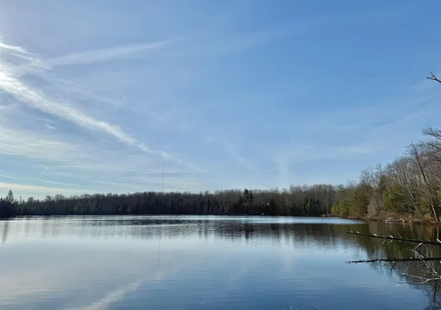 28th image of 5877 E Lake Five Ln, Kalkaska, MI 49646 | MLS# 78080063751