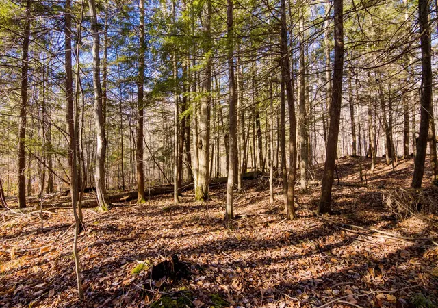 4th image of 5877 E Lake Five Ln, Kalkaska, MI 49646 | MLS# 78080063751