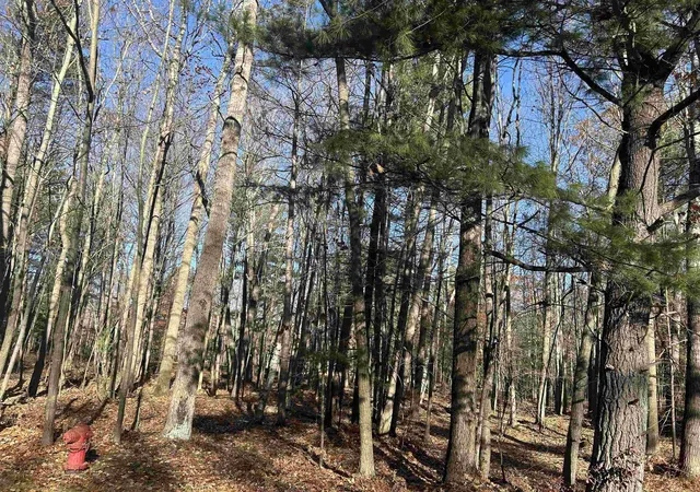 3rd image of 0 Fairway Dr St, Standish, MI 48658 | MLS# 58050194388