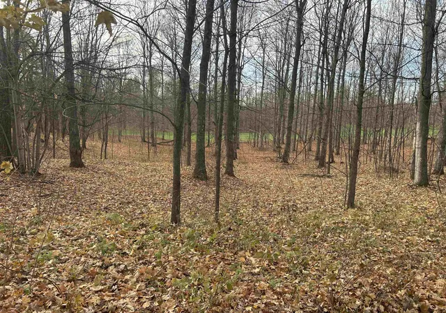 Photo 1 of Land for sale at Lot 7 White Tail Dr, Bellaire, MI 49615 | MLS# 78080063758 | Listing updated on 2026-07-31