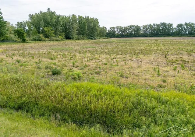 Photo 2 of Land for sale at Parcel D 264 Acres N Ctr Rd, Kochville Township Saginaw, MI 48604 | MLS# 61050194466 | Listing updated on 2026-07-15