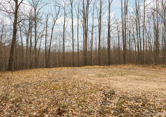 14th image of 00 N Fairview Rd, West Branch, MI 48661 | MLS# 20251054787