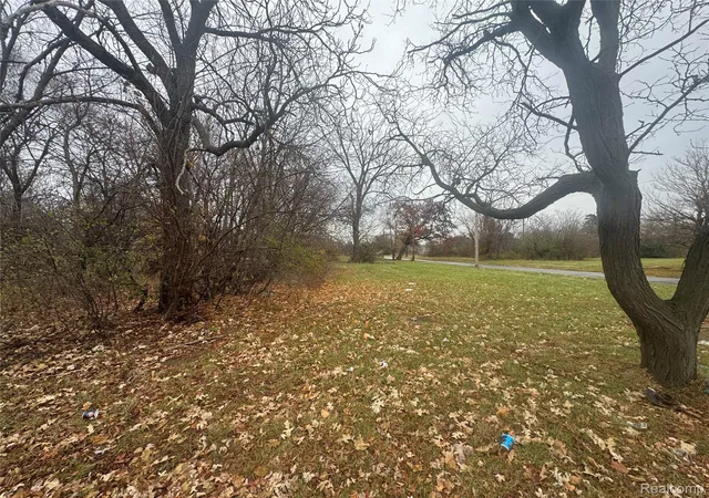 12th image of 4226 18th St, Detroit, MI 48208 | MLS# 20251054906