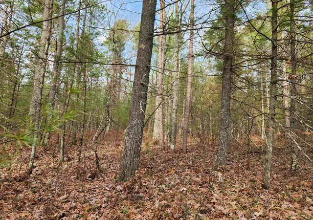 Photo 1 of Land for sale at Vl Hall Crk Rd, Grant Township Grand Traverse, MI 49643 | MLS# 78080063917 | Listing updated on 2026-07-02