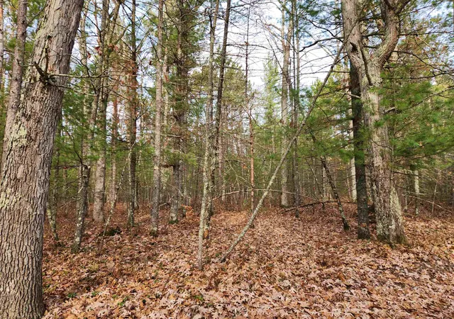 Photo 2 of Land for sale at Vl Hall Crk Rd, Grant Township Grand Traverse, MI 49643 | MLS# 78080063917 | Listing updated on 2026-07-02