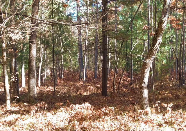Photo 3 of Land for sale at Vl Hall Crk Rd, Grant Township Grand Traverse, MI 49643 | MLS# 78080063917 | Listing updated on 2026-07-02