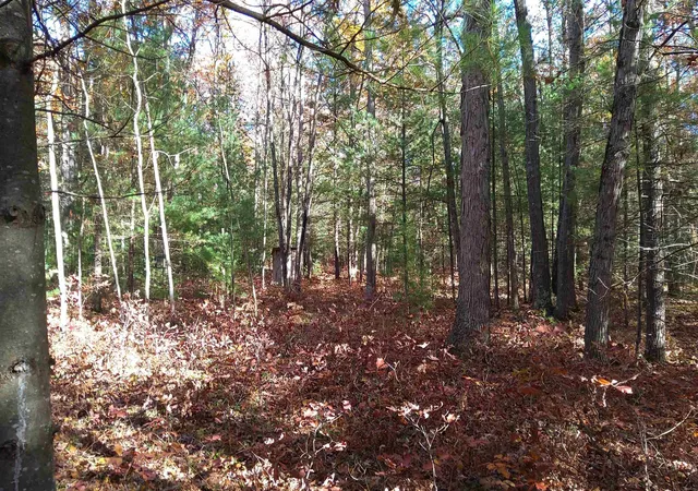 Photo 4 of Land for sale at Vl Hall Crk Rd, Grant Township Grand Traverse, MI 49643 | MLS# 78080063917 | Listing updated on 2026-07-02