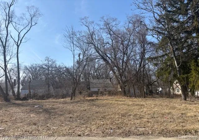 Land for sale at 18149 Vaughan St, Detroit, MI 48219 | MLS# 20251056195
