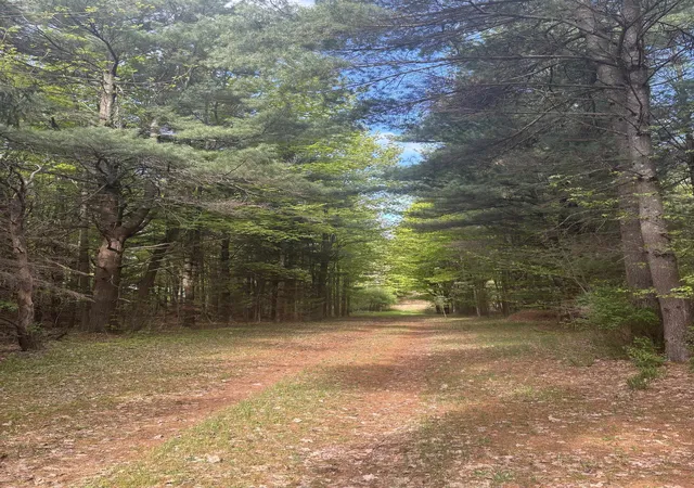 4th image of 0 Us-31, Torch Lake Township Antrim, MI 49648 | MLS# 78080063954