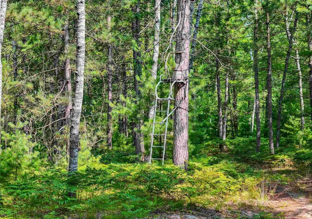 Photo 1 of Land for sale at 00 Arnold Rd, Manton, MI 49663 | MLS# 78080063964 | Listing updated on 2026-07-14
