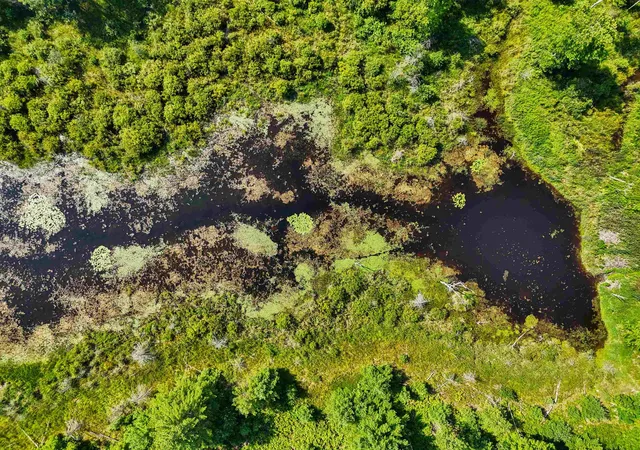 Photo 3 of Land for sale at 00 Arnold Rd, Manton, MI 49663 | MLS# 78080063964 | Listing updated on 2026-07-14