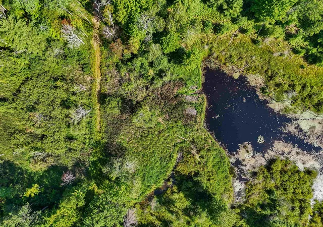 Photo 5 of Land for sale at 00 Arnold Rd, Manton, MI 49663 | MLS# 78080063964 | Listing updated on 2026-07-14