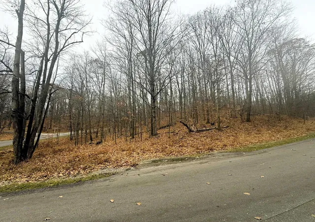 3rd image of Lot 57 Valley Run, Bellaire, MI 49615 | MLS# 78080063971