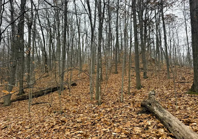 4th image of Lot 57 Valley Run, Bellaire, MI 49615 | MLS# 78080063971