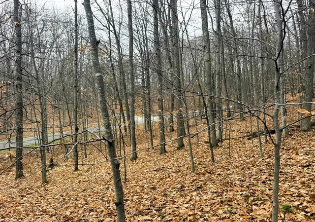 5th image of Lot 57 Valley Run, Bellaire, MI 49615 | MLS# 78080063971