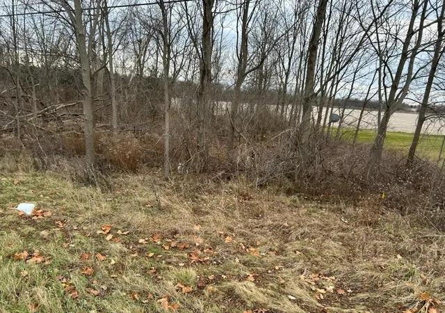 Homes for sale in Vernon Township Shiawassee, MI | 00 M 71 Hwy, Vernon Township Shiawassee, MI 48429 | MLS# 60050195119