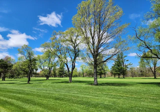 16th image of 5165 Snowridge Trl, Elmira, MI 49730 | MLS# 78080064016