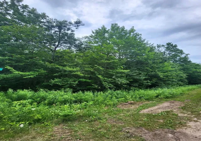 4th image of 5165 Snowridge Trl, Elmira, MI 49730 | MLS# 78080064016