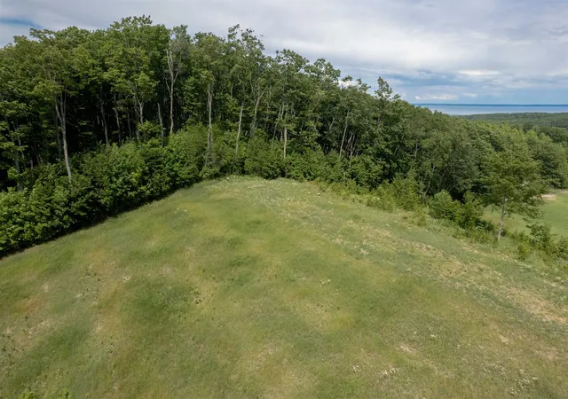 Homes for sale in Leelanau Township Leelanau, MI | 00 E Rudy Dr, Leelanau Township Leelanau, MI 49670 | MLS# 78080064039