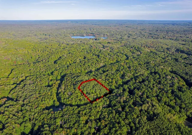 Photo 3 of Land for sale at V/l Forestgrove Dr, Star Township Antrim, MI 49730 | MLS# 78080064112 | Listing updated on 2026-02-23