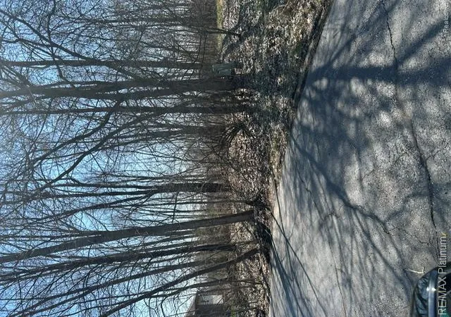 Photo 2 of Land for sale at 13480 Bryson Ct, Fenton, MI 48430 | MLS# 20251057993 | Listing updated on 2026-07-27