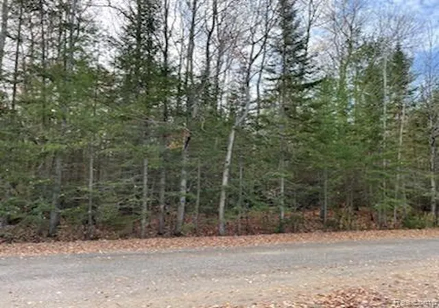 Homes for sale in Benton Township Cheboygan, MI | 9763 High Banks, Benton Township Cheboygan, MI 49721 | MLS# 20251058787